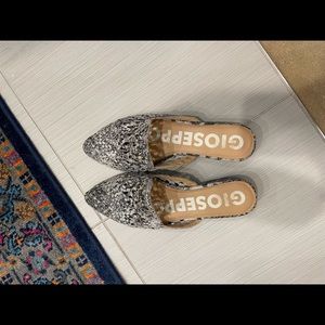 Pointy small heeled mules